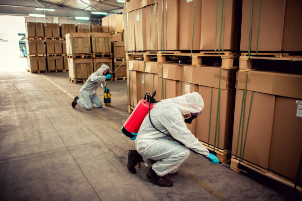 Best Pest Control Treatment  in Jonesborough, TN