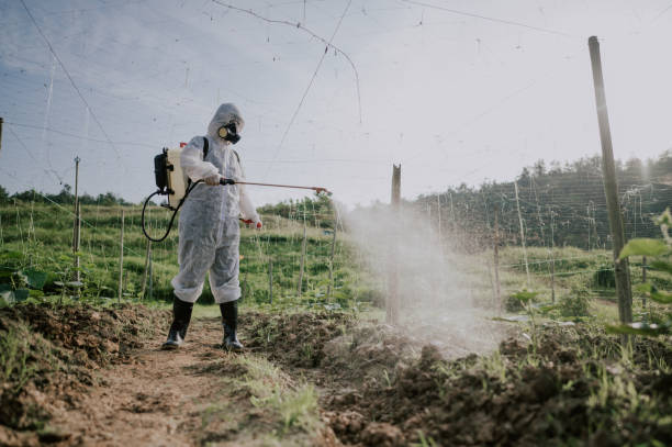 Best Best Pest Control Companies  in Jonesborough, TN