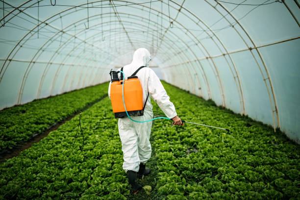 Best Affordable Pest Control Services  in Jonesborough, TN