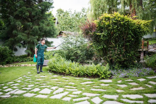 Best Best Pest Control Companies  in Jonesborough, TN