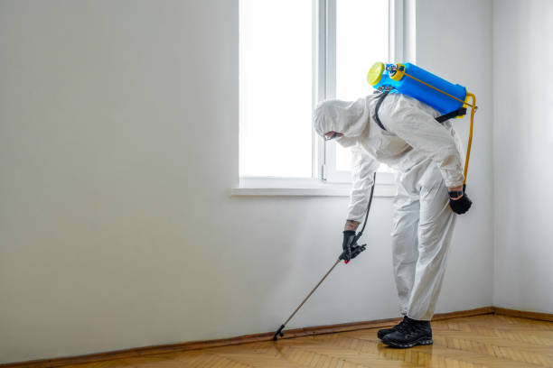 Best Pest Removal Services  in Jonesborough, TN