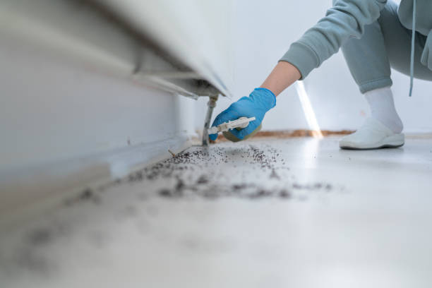 Best Best Pest Control Companies  in Jonesborough, TN
