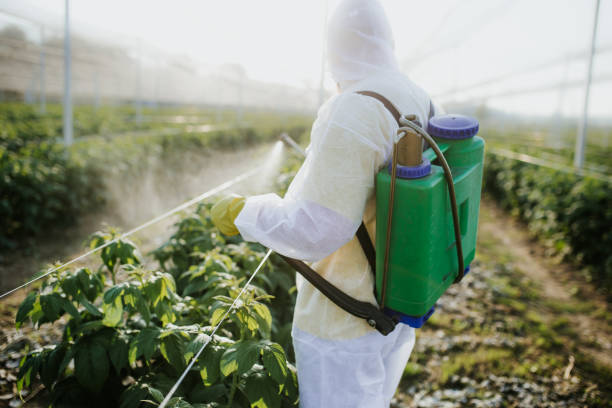 Best Ant Control Services  in Jonesborough, TN